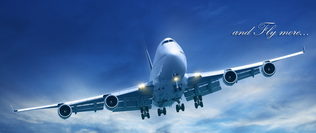 Global Hana Aviation Services slider image 4